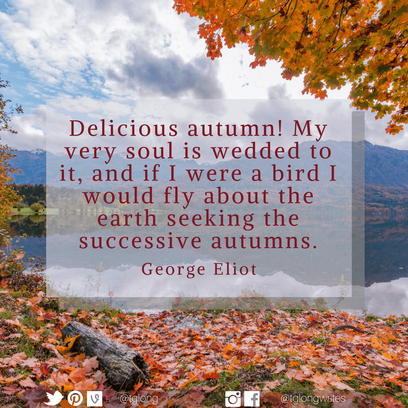 FALL GUY - Idiom of the day by Reverso! #englishidioms