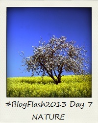 #BlogFlash2013 (March): Day 7 - Nature