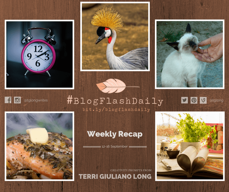 #BlogFlashDaily Creativity Prompts Weekly Recap: 12-16 September