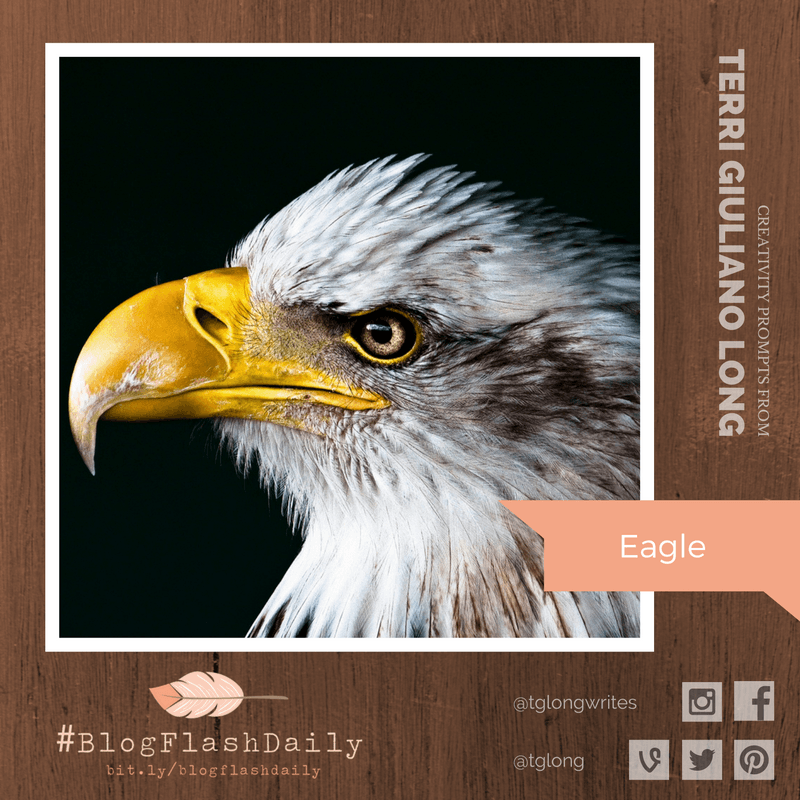 #BlogFlashDaily Creativity Prompt: Eagle