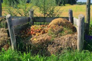 Outdoor Mindfulness - Compost